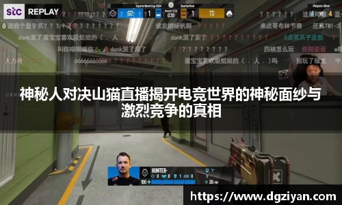 神秘人对决山猫直播揭开电竞世界的神秘面纱与激烈竞争的真相